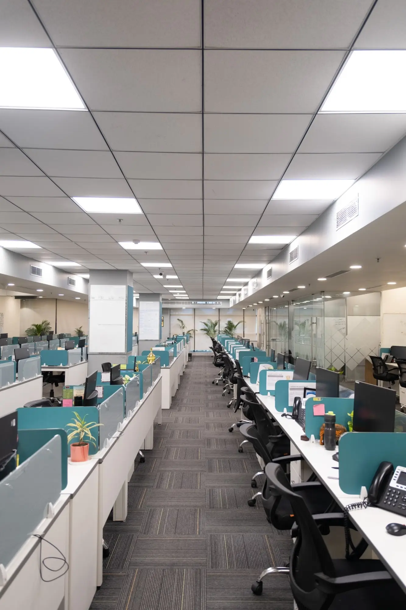 DENTSU completed workspace view 5