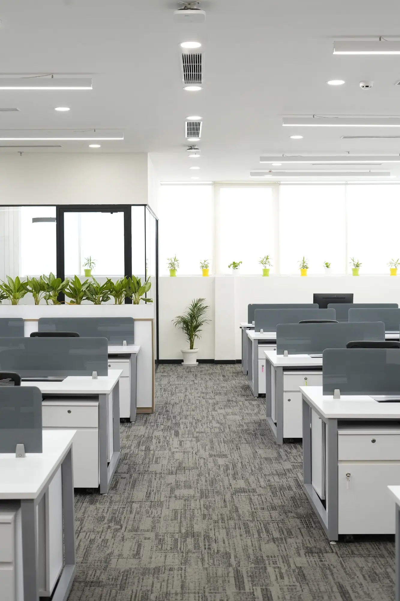 Razor Group Gurgaon Office Design