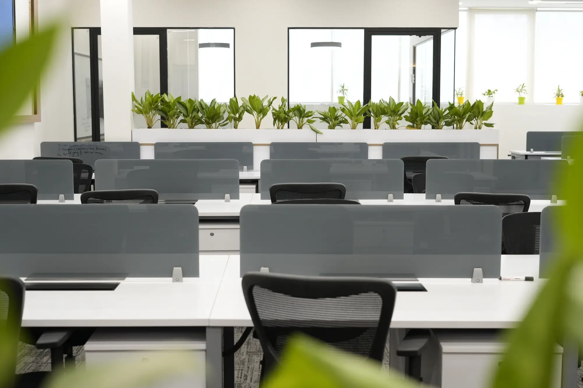 Razor Group Workplace Interior