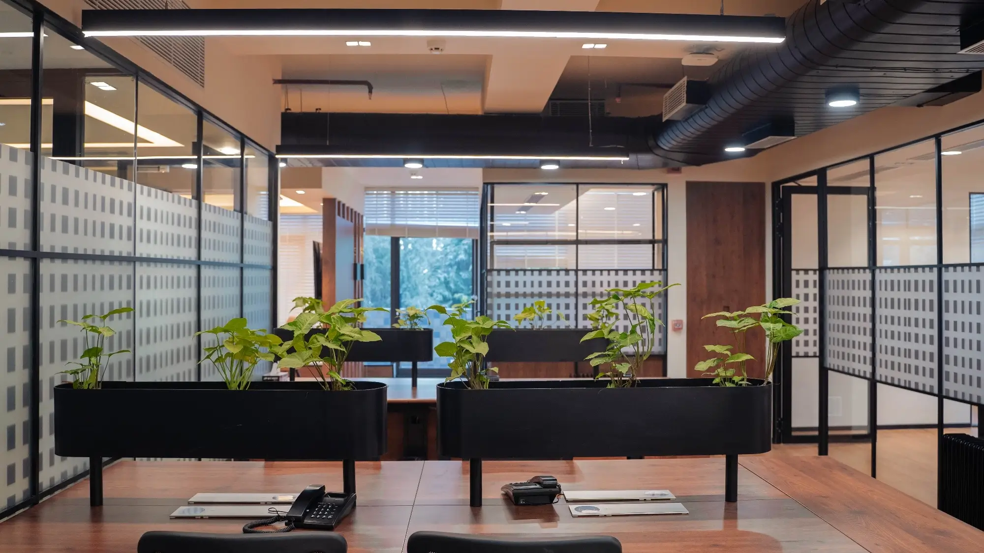 biophilic office design