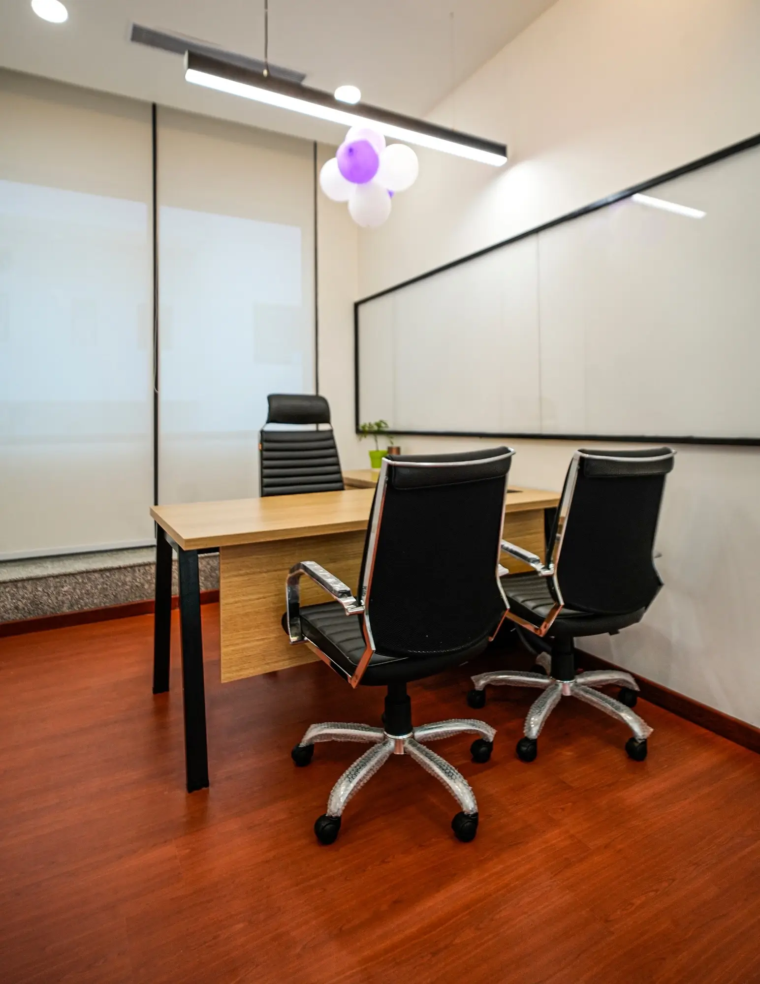 CORDELIA CRUISES Office Interior